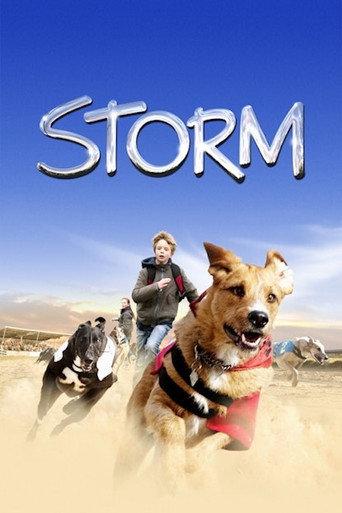 Storm (2009) poster