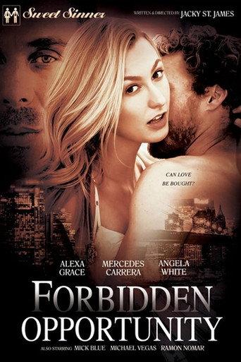 Forbidden Opportunity (2017) poster