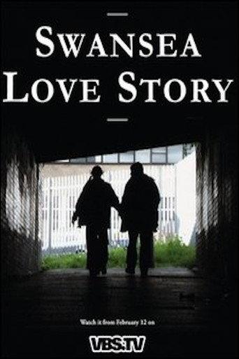 Swansea Love Story (2010) poster