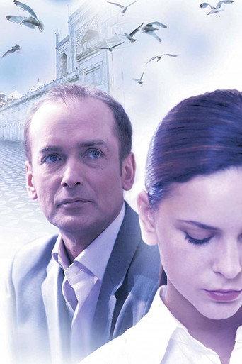 The Stepfather (2007) poster