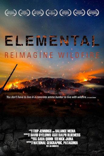 Elemental: Reimagine Wildfire (2022) poster