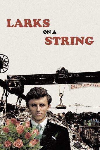 Larks on a String (1969) poster