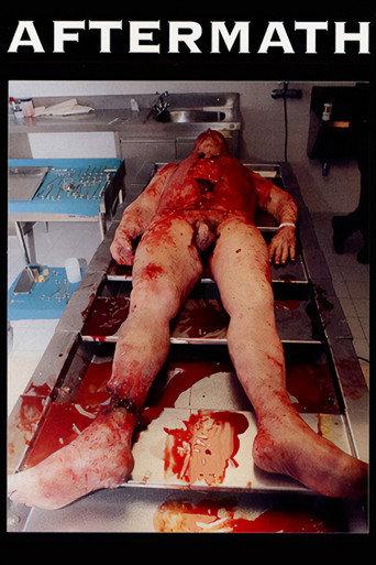 Aftermath (1994) poster