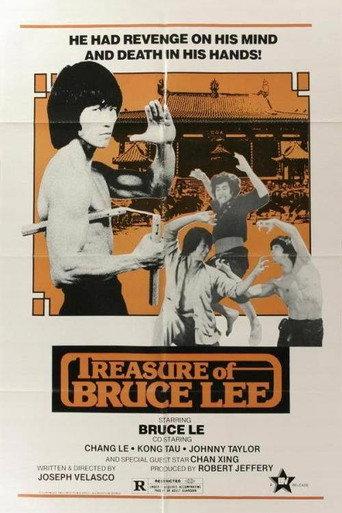 Treasure of Bruce Le (1979) poster