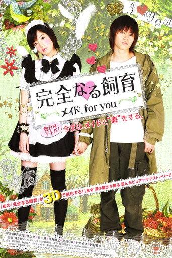 Perfect Education: A Maid for You (2010) poster