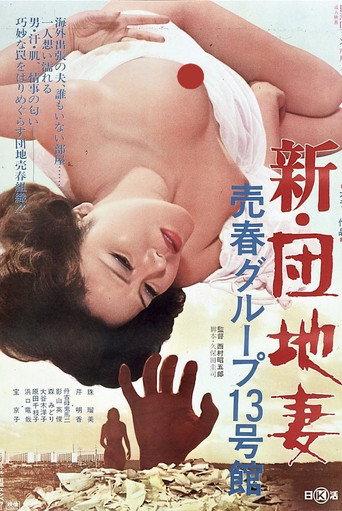 New Apartment Wife: Prostitution in Building #13 (1975) poster