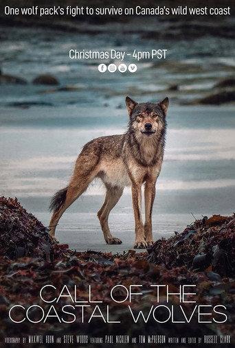 Call Of The Coastal Wolves (2020) poster