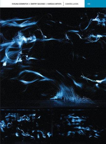 CAMERA LUCIDA (2007) poster