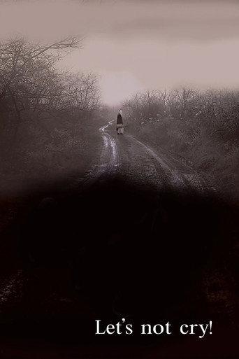 Let's Not Cry! (2007) poster