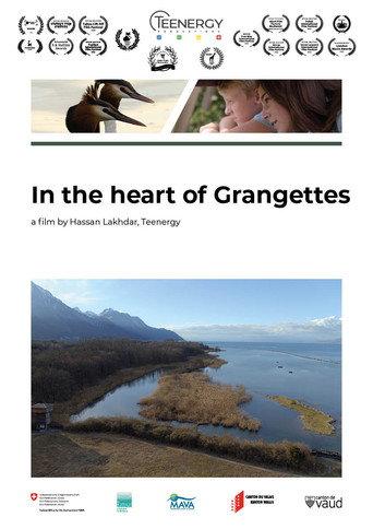 Au coeur des Grangettes () poster