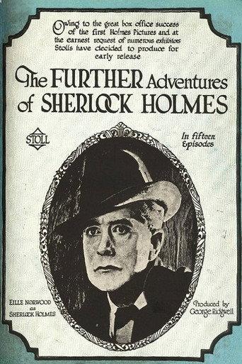 The Red Circle (1922) poster