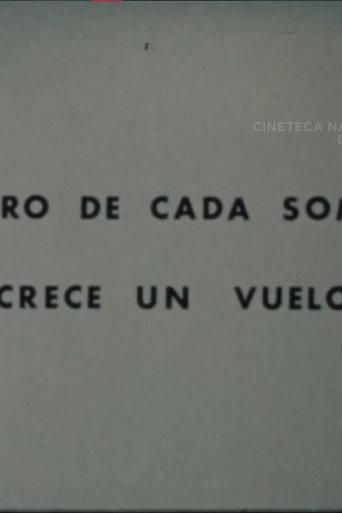 Dentro de Cada Sombra Crece un Vuelo () poster