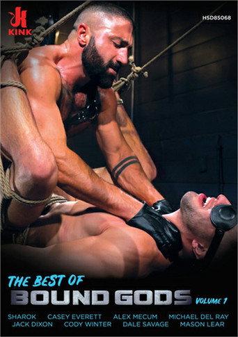 The Best of Bound Gods 1 (2021) poster