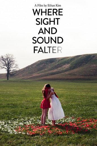 Where Sight and Sound Falter () poster