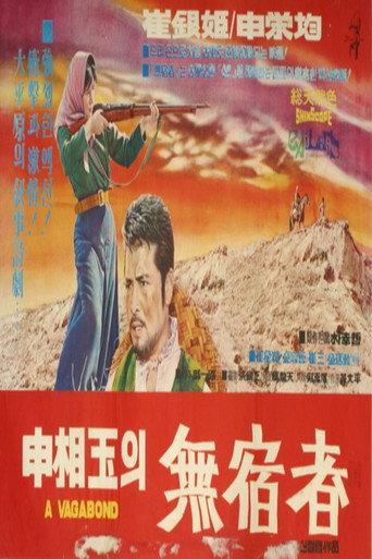 The Homeless Wanderer (1968) poster