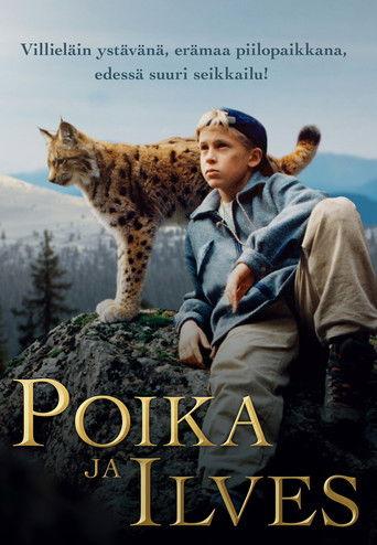 Tommy and the Wildcat (1998) poster