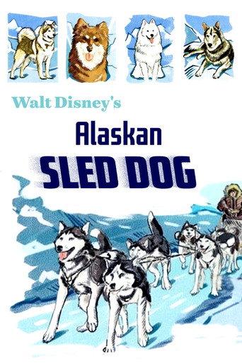 Alaskan Sled Dog (1957) poster