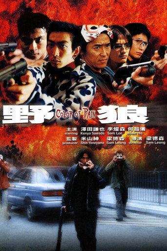 Color of Pain (2002) poster