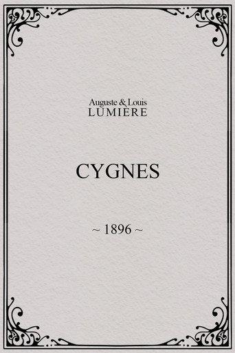 Swans (1896) poster