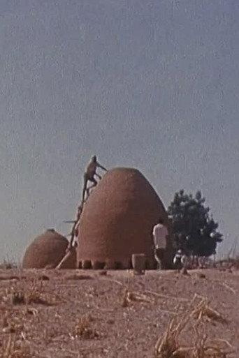 Bawra (1977) poster