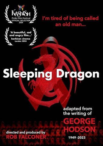 Sleeping Dragon (2024) poster