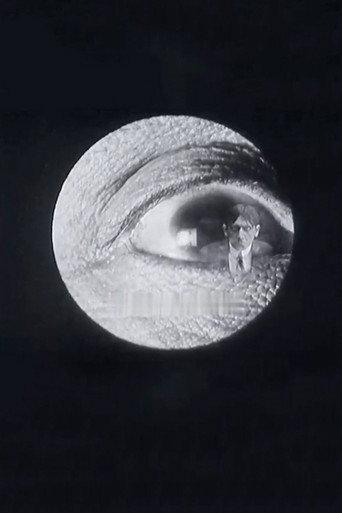 Doctor Mitchoff's Discovery (1912) poster
