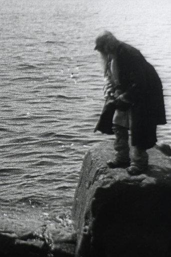 The Tale of the Fisherman and the Little Fish (1911) poster