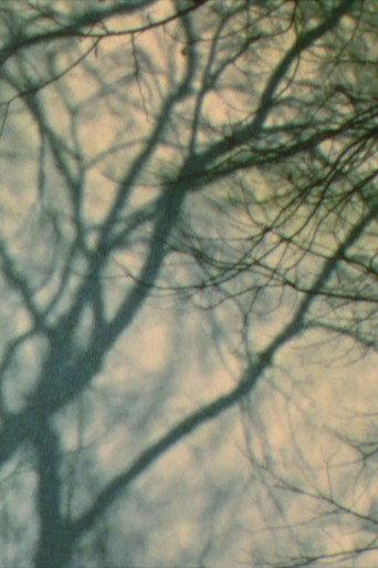 In a Tree’s Shadow II (2011) poster