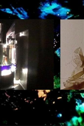 Brakhage by Mothlight (2016) poster