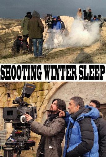 A Long Cold Winter (2014) poster