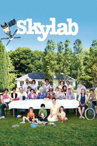 Skylab (2011) poster