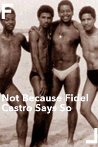 Not Because Fidel Castro Says So (1988) poster