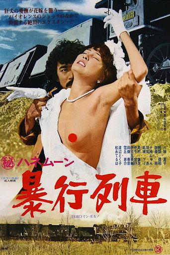 Secret Honeymoon: Assault Train (1977) poster