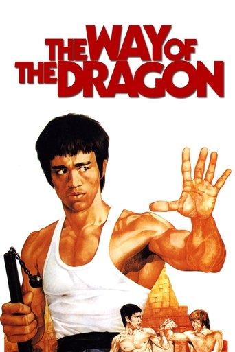 The Way of the Dragon (1972) poster