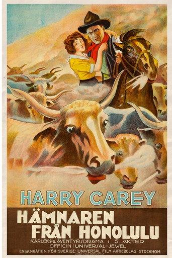The Outlaw and the Lady (1917) poster