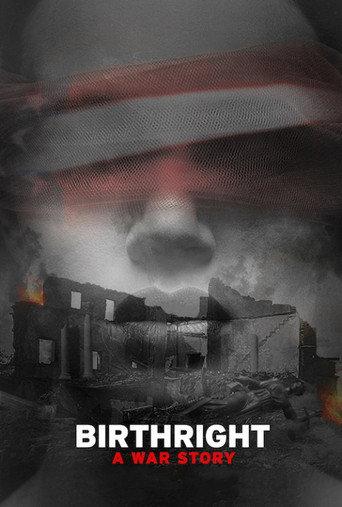 Birthright: A War Story (2017) poster