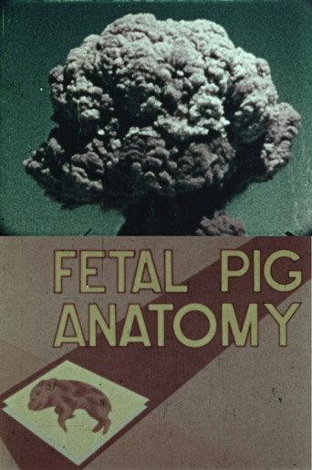 Fetal Pig Anatomy (1989) poster