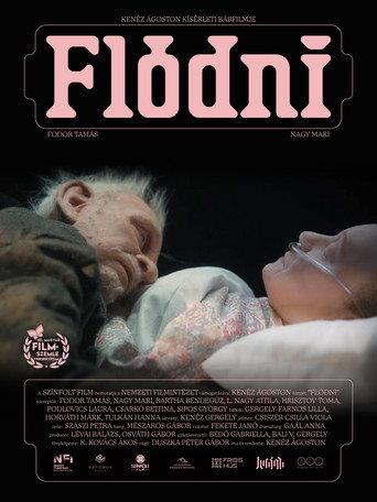 Flódni (2026) poster