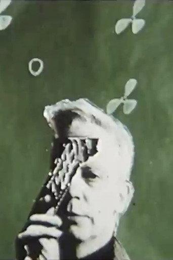 Homo Ludens (1965) poster