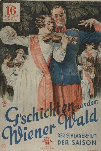 Tales from the Vienna Woods (1928) poster