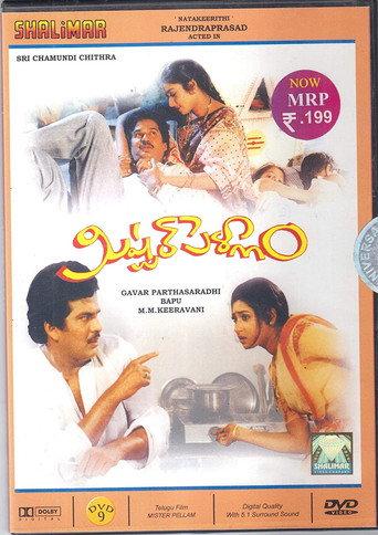 Mister Pellam (1993) poster
