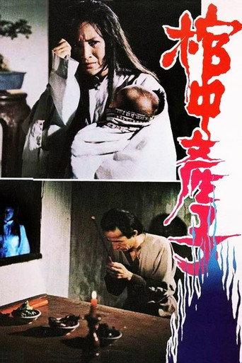 The Child Delivery in the Coffin (1980) poster