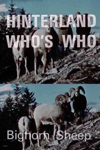 Hinterland Who's Who: Bighorn Sheep (1969) poster