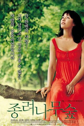 Palm Tree Grove (2005) poster