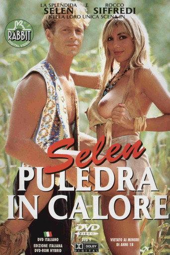 Selen the Perfect Lover (1993) poster
