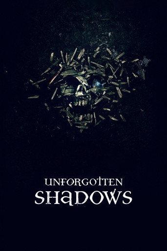 Unforgotten Shadows (2013) poster