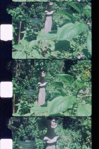 Silent Garden (2021) poster