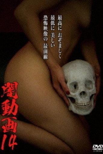 Tokyo Videos of Horror 14 (2016) poster