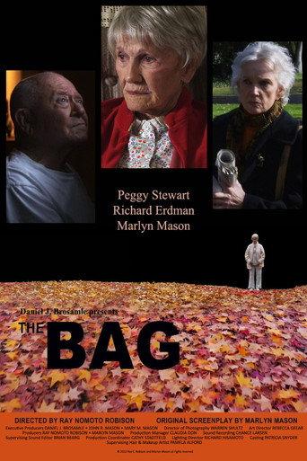 The Bag () poster