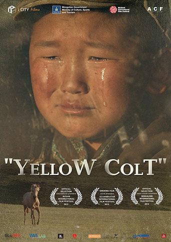 Yellow Colt (2014) poster